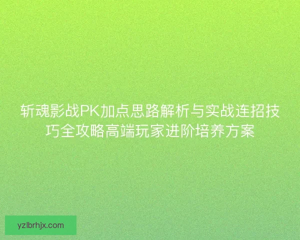 斩魂影战PK加点思路解析与实战连招技巧全攻略高端玩家进阶培养方案