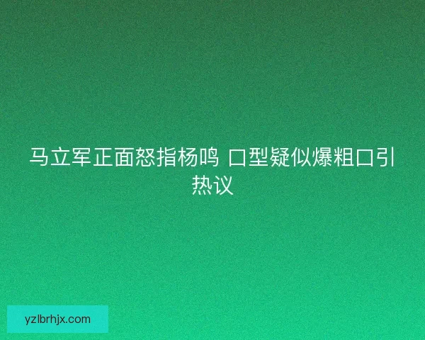 马立军正面怒指杨鸣 口型疑似爆粗口引热议 马立军正面怒指杨鸣 口型疑似爆粗口引热议