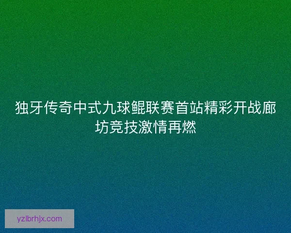 独牙传奇中式九球鲲联赛首站精彩开战廊坊竞技激情再燃